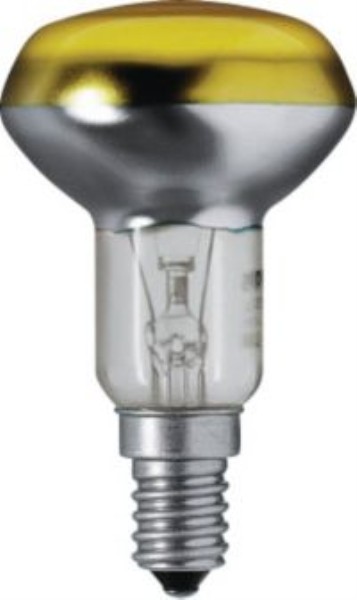 Лампа накаливания Philips NR50 40W CL photo 2